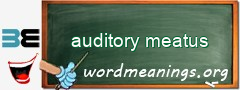 WordMeaning blackboard for auditory meatus